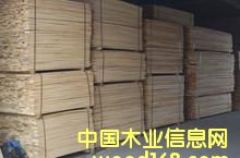 ����ľ��Ԕ����B