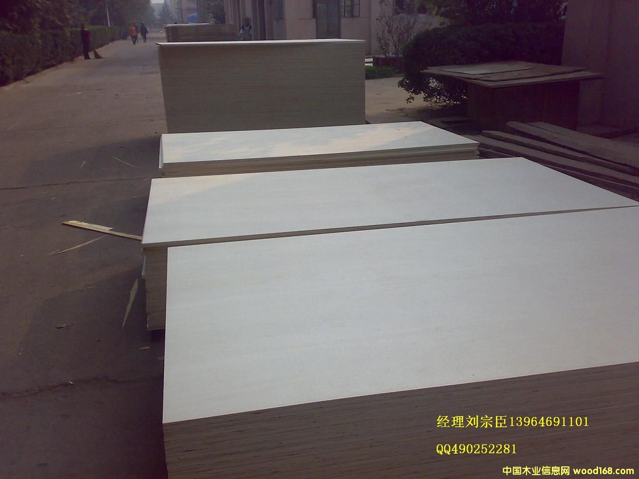 �c(di��n)���鿴��ľ���Ӱ��Ԕ��(x��)�Y��