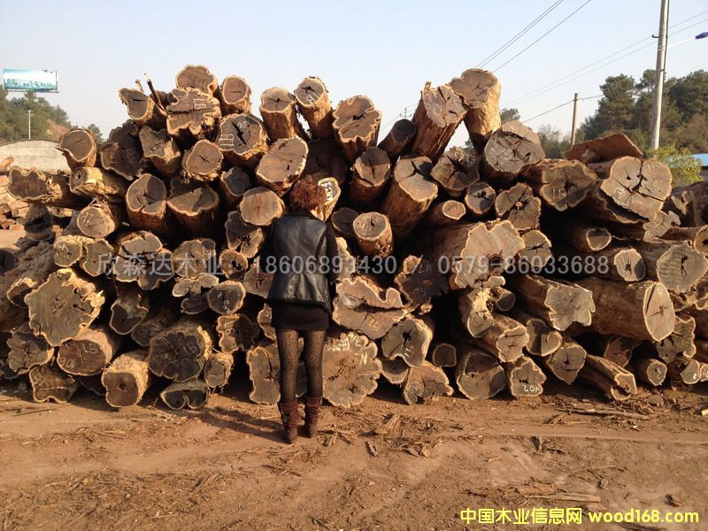 �Ϲ�̴(��̴����ľ,�|�Ǻ��S̴)1106#4