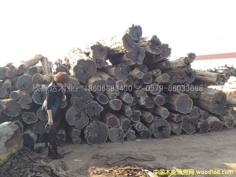 �Ϲ�̴(��̴����ľ,�|�Ǻ��S̴)1106#5