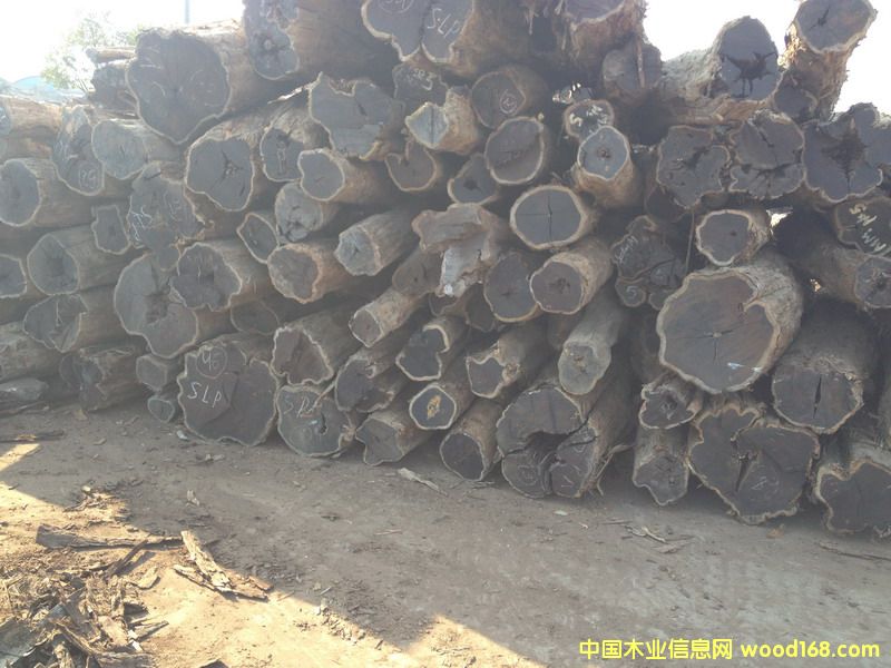 �Ϲ�̴(��̴����ľ,�|�Ǻ��S̴)1106#1