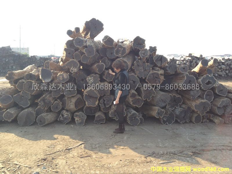 �Ϲ�̴(��̴����ľ,�|�Ǻ��S̴)1106#6