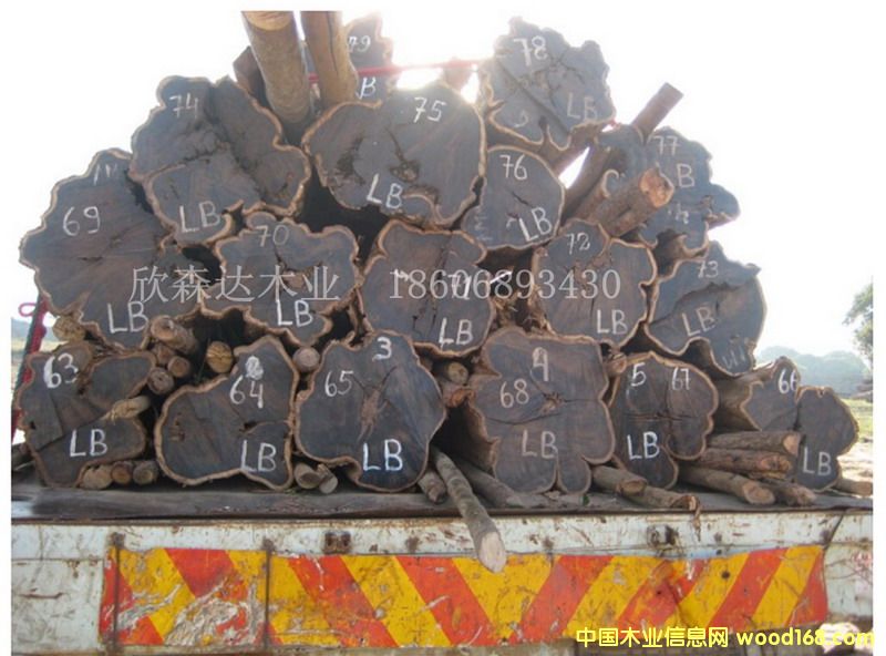 �Ϲ�̴(��̴����ľ)