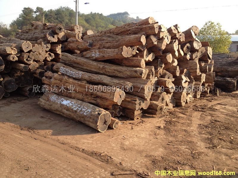 �Ϲ�̴(��̴����ľ,�|�Ǻ��S̴)1106#2