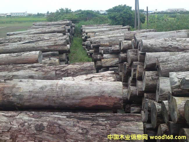 ���~��̴��Ԕ��(x��)��B