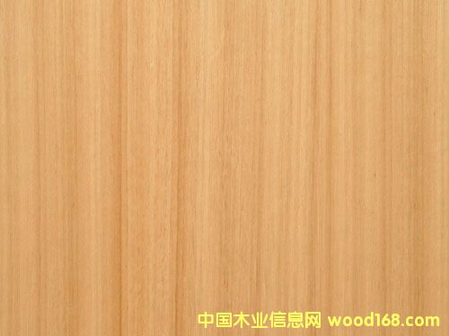 �c(di��n)���鿴�z�ϰ�Ŵ�DƬ