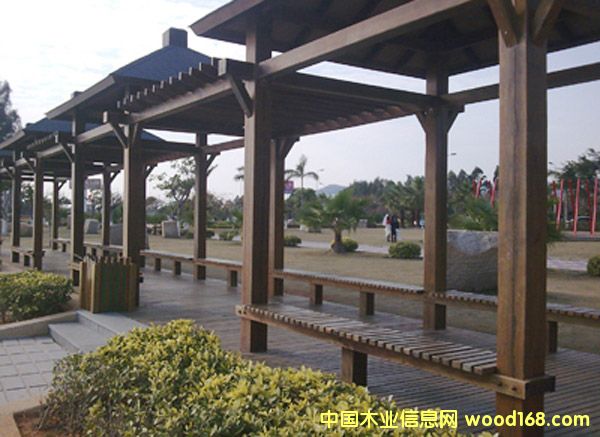 ����ľ��Ԕ��(x��)��B