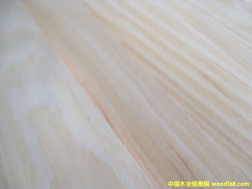 ��ľ�����