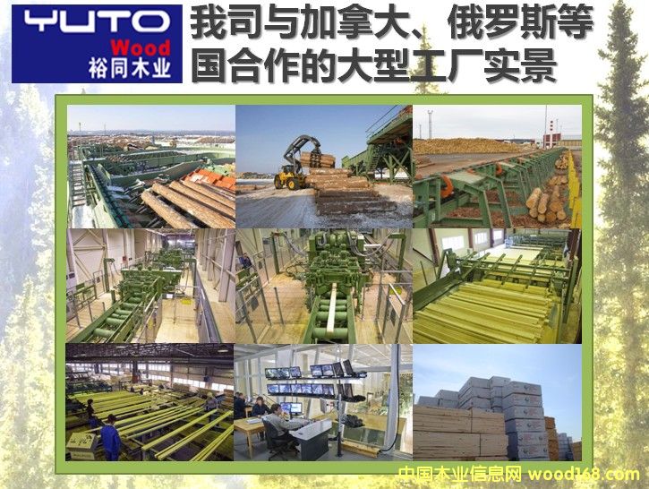 加松的詳細介紹