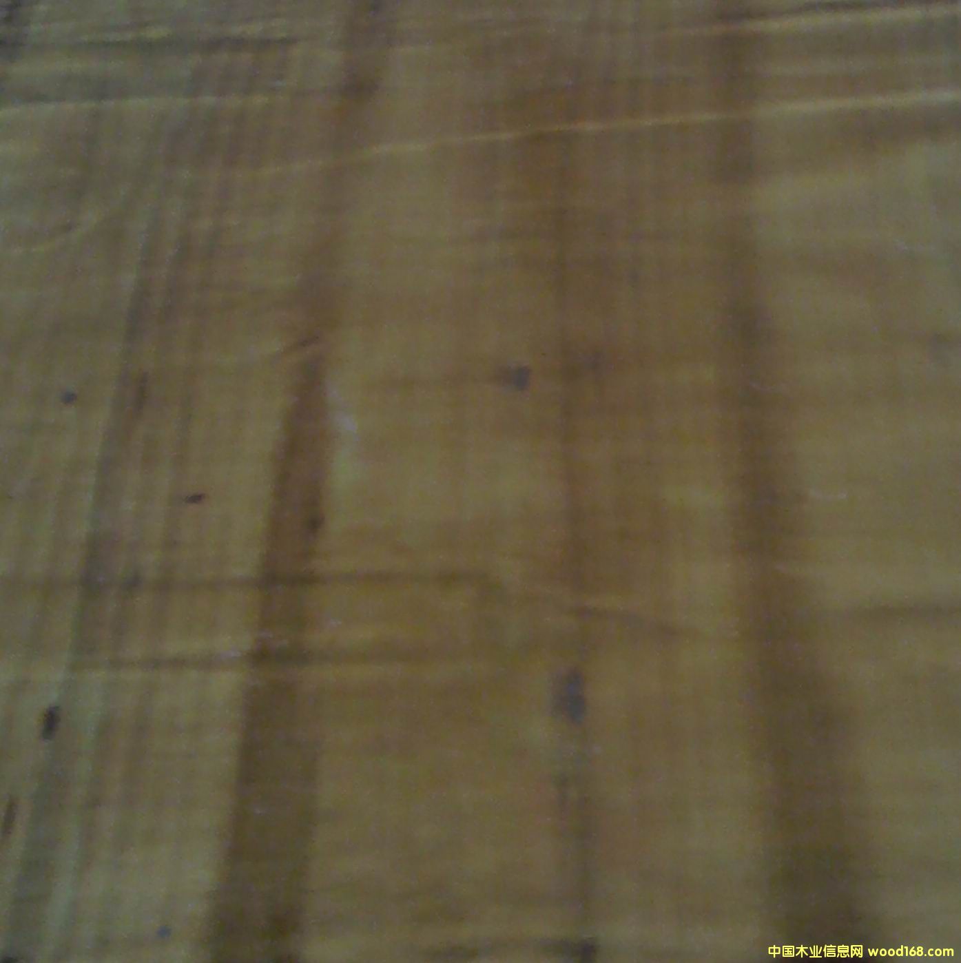 ���a(ch��n)���Sģ���Ԕ����B