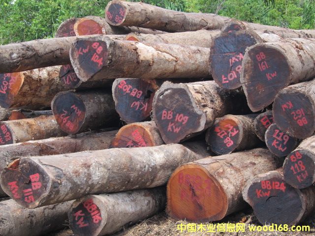 ���}��Kwila)��Ԕ��(x��)��B