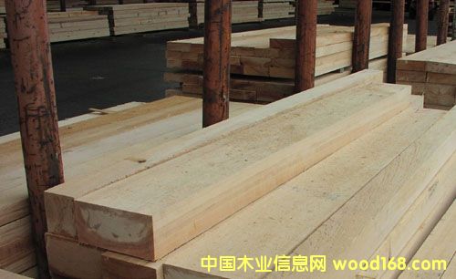 �������x���_(k��i)ľ�I(y��)