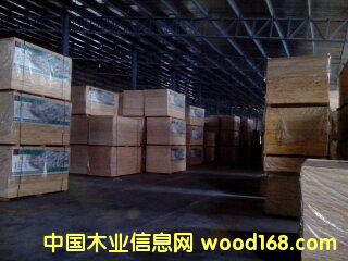 ݗ���ɼ��ɲĴ��Ԕ��(x��)��B