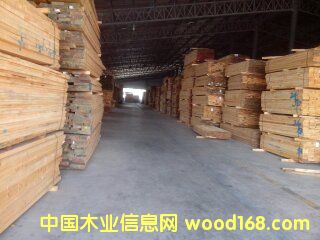 ݗ���ɟo��(ji��)��ɰ�ĵ�Ԕ��(x��)��B