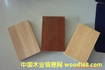 �������B(t��i)���Ԕ����B