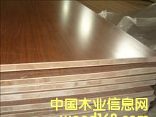 �������B(t��i)���Ԕ����B