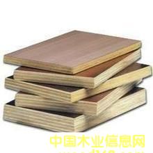 ���Ӱ��Ԕ����B