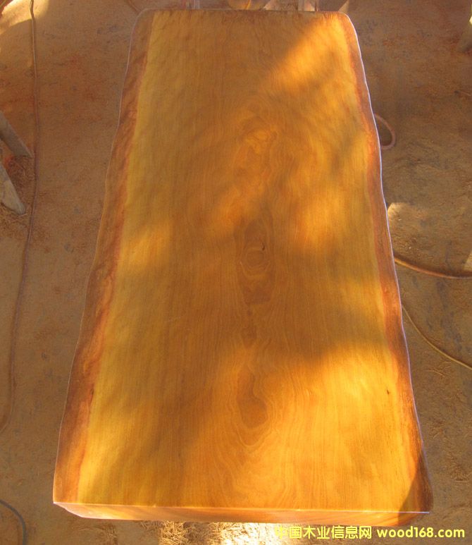 �����S����