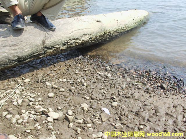 ꎳ�ľ75��Ԕ����B