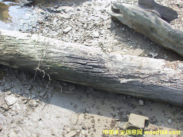 ꎳ�ľ70��Ԕ����B