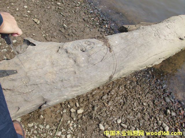 ꎳ�ľ64��Ԕ����B