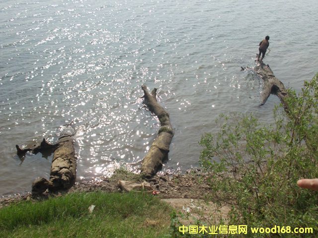 ꎳ�ľ52��Ԕ����B