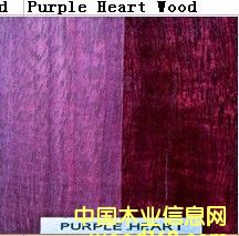 ����ľ��Ԕ��(x��)��B