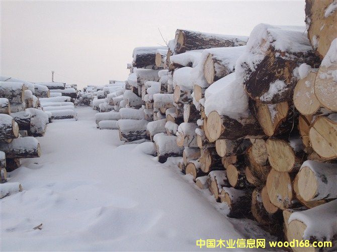 ���_˹��ľ��ĵ�Ԕ��(x��)��B