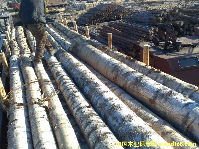 ���_˹��ľ��ĵ�Ԕ��(x��)��B