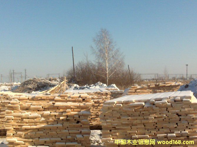 ���_˹��ľ���