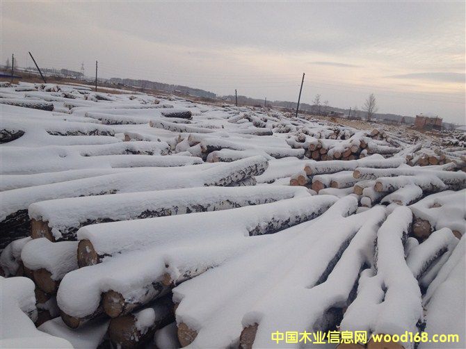 ���_˹��ľ��ĵ�Ԕ��(x��)��B