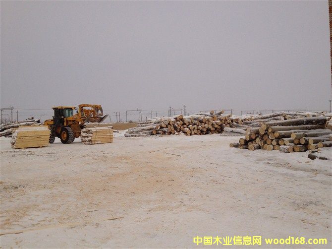 ���_˹��ľ��ĵ�Ԕ��(x��)��B