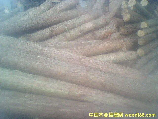 ɼԭľ��Ԕ��(x��)��B