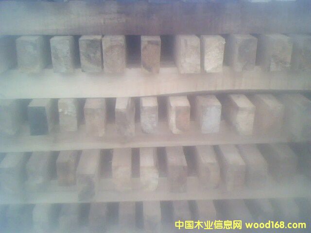 ɼľ����Ԕ��(x��)��B