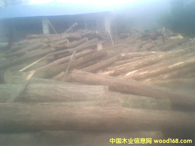 ��ԭľ��Ԕ��(x��)��B