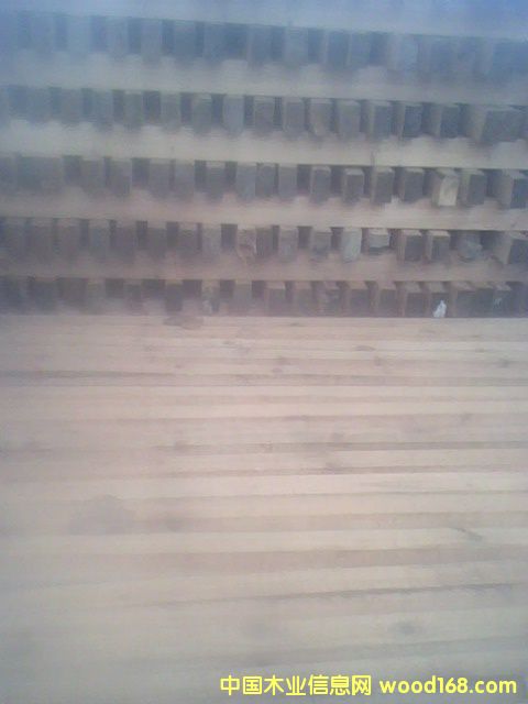 ɼľ����Ԕ��(x��)��B