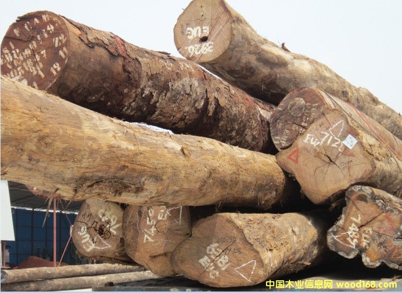 �̈́ڵ�Ԕ��(x��)��B