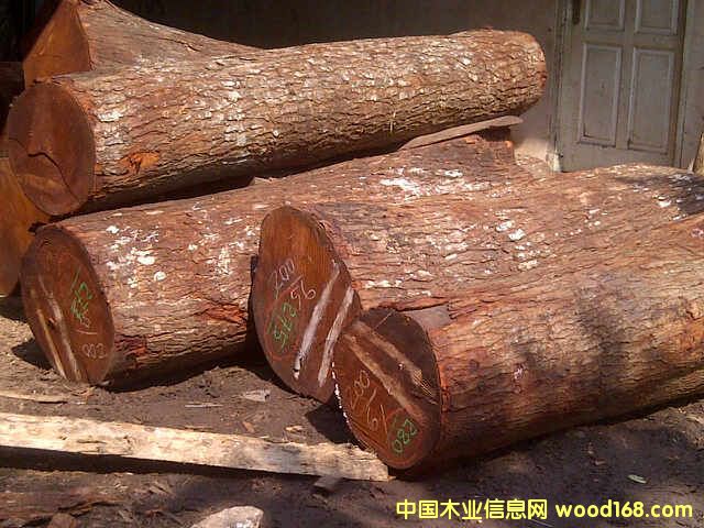 ӡ���һ�оľ��Ԕ��(x��)��B