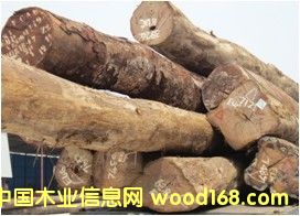 �̈́ڵ�Ԕ��(x��)��B