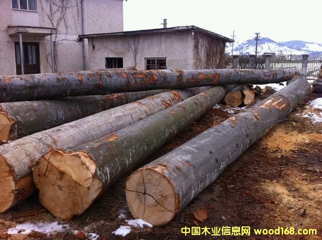 �W�ޙ�ľ��Ԕ����B