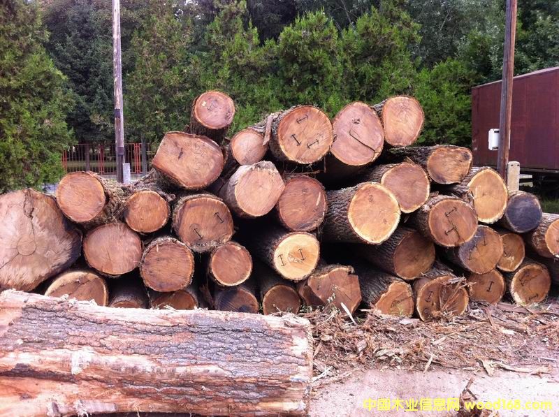 �W����ľ����ľ��Ԕ����B