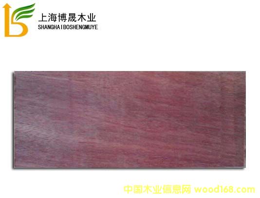 ɽ��ľ��Ԕ����B