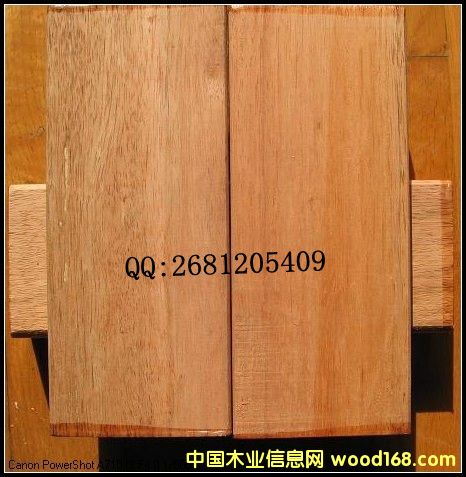 [��] �Ϻ���(y��u)�|(zh��)����ľ������ľ�N�������ľ�|(zh��)�����������ľ�ÏS��