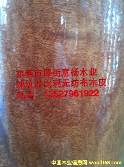 ��yɳ�����o(w��)����ľƤ��Ԕ��(x��)��B