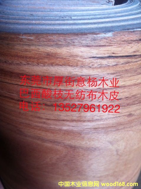 ������֦�o(w��)����ľƤ��Ԕ��(x��)��B