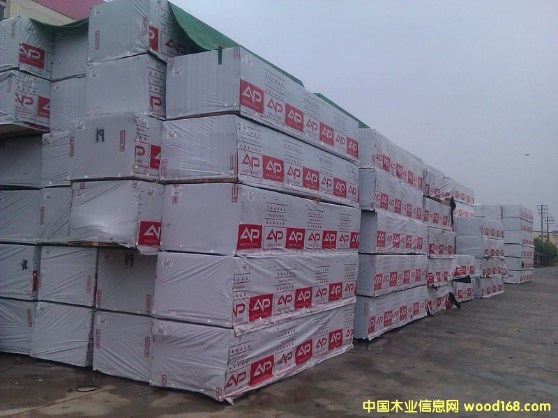 SPF���Fɼ����ɼ����ɼ��