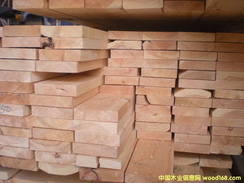 公司實景 公司實景