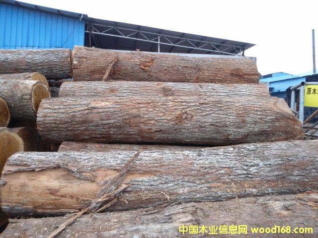 ���м�(j��)����ԭľ