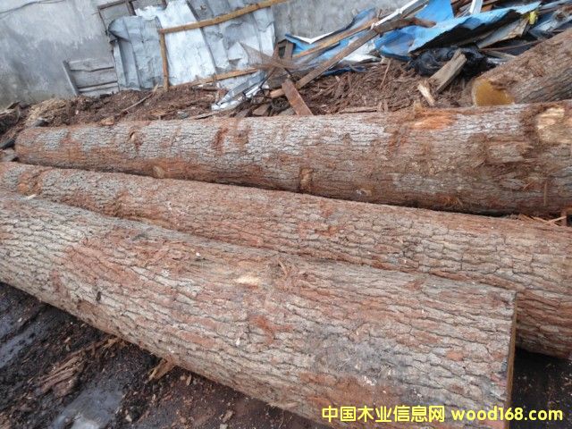 ���м�(j��)����ԭľ