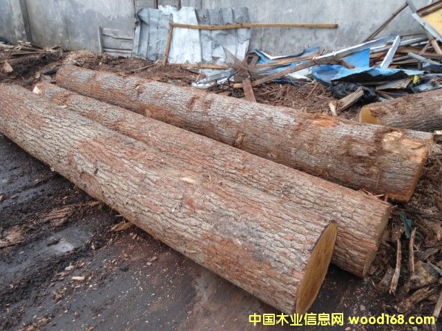 ���м�����ԭľ